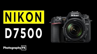 Nikon D7500 DSLR Camera Highlights amp Overview [upl. by Royden]