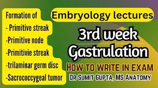 What is Fertilization Gastrulation and Neurulation  Overview [upl. by Ikiv563]