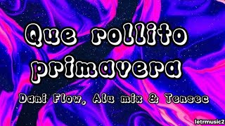 🏳️‍⚧️ Que rollito primavera  Dani Flow Alu mix amp Tensec LETRA [upl. by Junna]