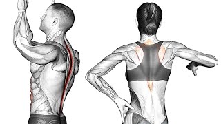 How To Improve Back Posture with Exercise [upl. by Dlonra569]