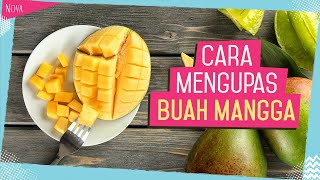 Cara Mengupas Buah Mangga  Tips Dapur Nova [upl. by Honorine647]