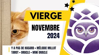 ♍️ VIERGE • NOVEMBRE 2024 • Y a pas de hasard 😉 • LE TAROSCOPE DU MOIS [upl. by Aicilak]