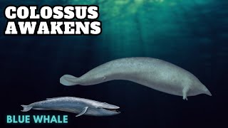 SURPASSING the Blue Whale Meet the Prehistoric Perucetus Colossus [upl. by Awe]