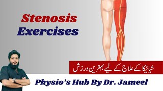 L4L5S1 Stenosis  Physical Therapy treatment  Best Exercise [upl. by Lotti]