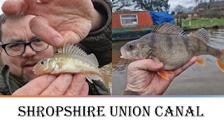 Shropshire Union Canal Fishing Chester [upl. by Tnomal]