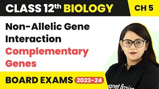 Class 12 Biology Chapter 5  NonAllelic Gene Interaction  Complementary Genes CBSENEET 202223 [upl. by Bibbie]