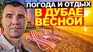 ✅ Погода в Дубае в ОАЭ Весной 🔥в марте апреле мае 2024 года отзывы туристов отдых на море цены [upl. by Hooker]