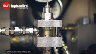 RPIC RPIS ALIVIOS SUN HYDRAULICS  Fallas por cavitación [upl. by Nawuq]