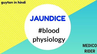 JAUNDICE PHYSIOLOGY  hemolytic  hepaticobstructive jaundice guytoninhindi bloodphysiology [upl. by Royo]