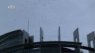 Parlement européen et Conseil de lEurope  Pourquoi le Pape à Strasbourg [upl. by Tarabar]