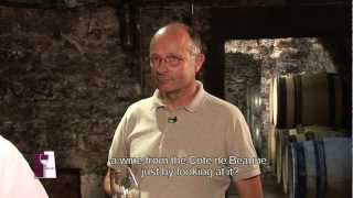 Understanding Burgundy Chablis Grand Crus with Bernard Raveneau [upl. by Ethelyn]