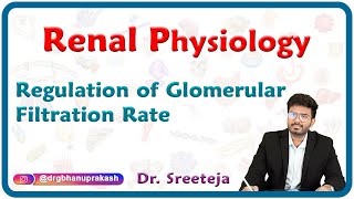 Regulation of Glomerular Filtration Rate  Physiology USMLE Step 1 [upl. by Neetsyrk]