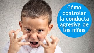 Agresividad infantil ¿cómo controlarla [upl. by Olney672]