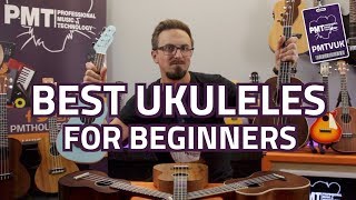 Top 10 Best Ukuleles For Beginners [upl. by Hametaf]