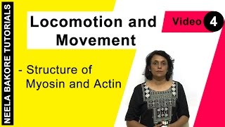 Locomotion and Movement  NEET  Structure of Myosin and Actin  Neela Bakore Tutorials [upl. by Mraz]