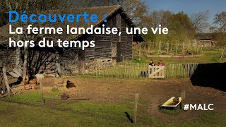 Découverte  la ferme landaise une vie hors du temps [upl. by Enelcaj]