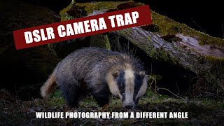 PT 1 DSLR Camera trap Badgers Wildlife photography from a different angle [upl. by Petuu]