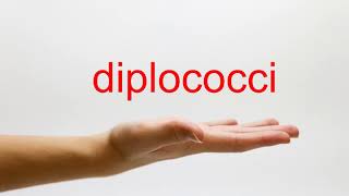 How to Pronounce diplococci  American English [upl. by Minier]