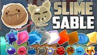 TODAS LAS COMBINACIONES DEL SLIME SABLE  SLIME RANCHER SABER SLIME 110 [upl. by Krik823]