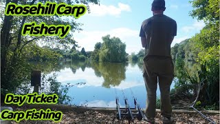 Day ticket carp fishing  Rosehill Carp Fishery [upl. by Orel]