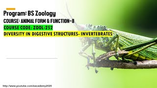 Diversity in Digestive Structures Invertebrates [upl. by Aridnere799]