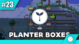 TERRARIA  TH  PLANTER BOX  สวนสมุนไพรทำได้ด้วยตัวคุณเอง [upl. by Orestes173]