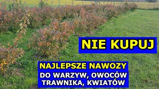 Nie Kupuj wielu Nawozów Najlepsze Nawozy pod Warzywa Trawnik Drzewa owocowe Hortensje Pomidory [upl. by Swann]