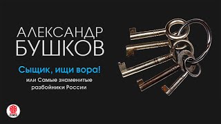 АЛЕКСАНДР БУШКОВ «СЫЩИК ИЩИ ВОРА» Аудиокнига Читает Александр Клюквин [upl. by Anauqat]