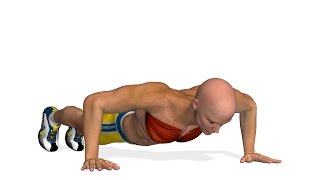 Brustmuskeltraining PushUps [upl. by Vasilek]