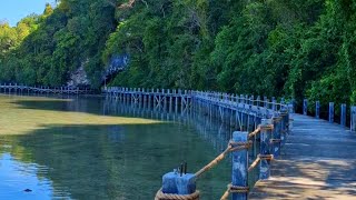 KILOMETER BOARDWALK TABON CAVE  QUEZON PALAWAN [upl. by Anairotciv442]