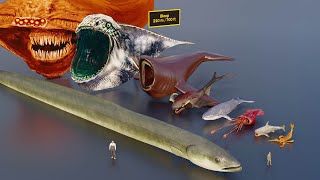 Largest sea creatures size comparison 3D animation animation [upl. by Gustav]