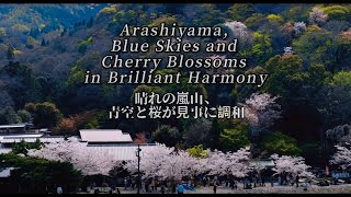 ❑ 2024 Sakura  Arashiyama Blue Skies and Cherry Blossoms in Brilliant Harmony晴れの嵐山、青空と桜が見事に調和 [upl. by Natanhoj]