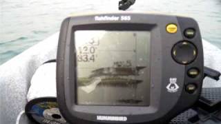 Humminbird 565 in Action [upl. by Akerdal]