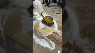 Satisfying Carpet cleaning youtubeshorts [upl. by Rheims]