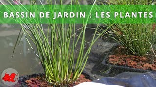 Bassin de jardin  Plantes aquatiques [upl. by Lina]