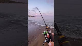 10GR Jig ile LRF Avı 🎣 fishing fishingvideo fish fishinglife lrf spiningfishing shimano [upl. by Llenroc]