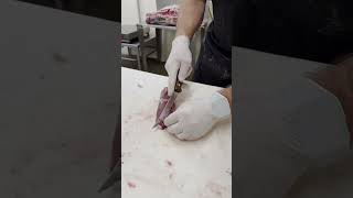 Cutting venison stew meat from the eye of round 🔪🦌 shorts butcher deer venison stewmeat [upl. by Lidia]