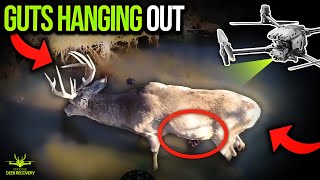 Buck has Guts Hanging Out Drone Deer Recovery [upl. by Barlow]