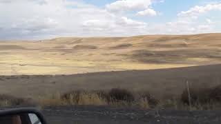 DRIVING THROUGH THE PALOUSE WITH GRANDPA CARL SHEFFLERAYER WA AREA [upl. by Thesda]