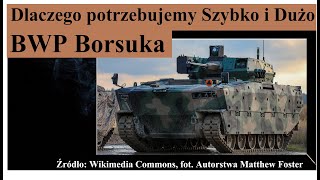 Dlaczego potrzebujemy Dużo i Szybko BWP Borsuka [upl. by Pat923]