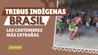 Tribus Indigenas en BrasilLas costumbres más extrañasbrasil amazônia culturabrasileira [upl. by Akere]