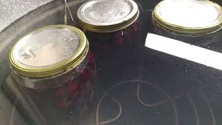 Canning Blackberries Marchcanningmadness24 [upl. by Hurlow]