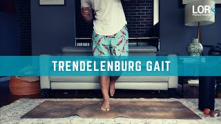 How to Fix a Trendelenburg Gait  LOR Physical Therapy [upl. by Nyrehtac]