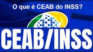 Inss demora a Analise da Concessão do Beneficio na Ceabs e quais os Prazos de Analise Judicial [upl. by Orodisi911]