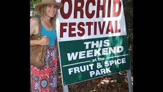 Holy City Orchids Goes to the Redlands Orchid Festival [upl. by Lipinski986]