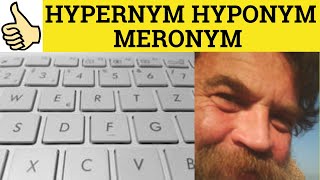 🔵 Hypernym Hyponym Meronym  Hypernym Meaning  Hyponym Examples  Meronym Definition  Linguistics [upl. by Gassman]