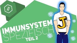 Spezifische Immunabwehr 2  Immunsystem [upl. by Atteiram]