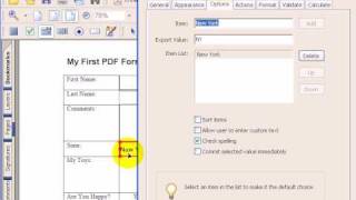 How To Build PDF Forms In Adobe Acrobat 5 of 14 [upl. by Draneb]