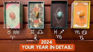 2024 Your Year in Detail ✨🎥 🎞 👀✨ ❷⓪❷❹ ✨ [upl. by Anestassia]