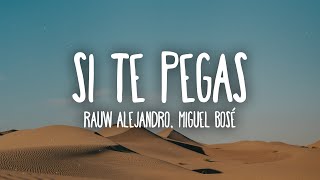 Rauw Alejandro x Miguel Bose  SI TE PEGAS LetraLyrics [upl. by Sarina]